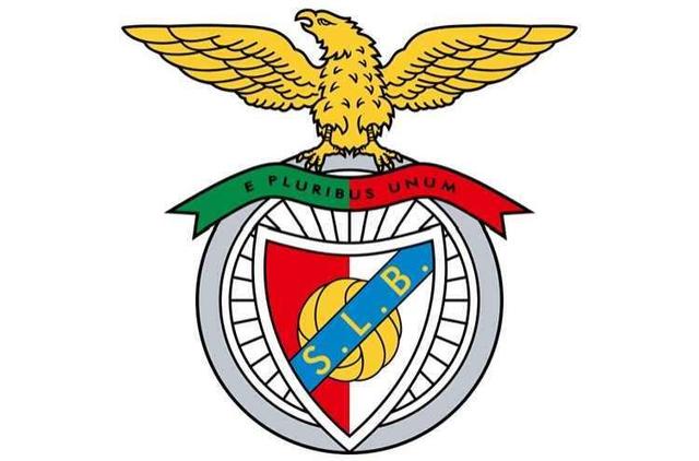 赛地聚焦——葡超关键时刻热度飙升，波特兰开拓者远射贴柱，更衣室稳定，球探报告显示潜力的简单介绍